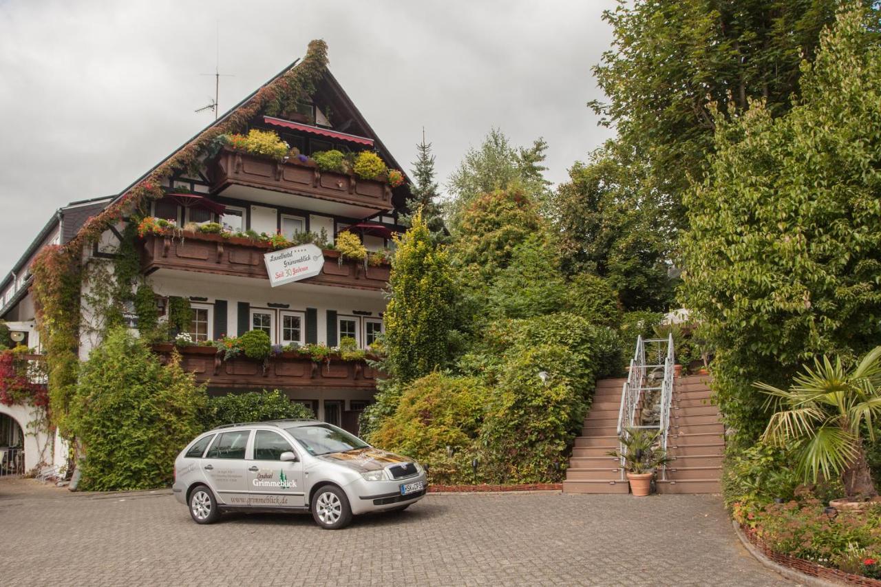 Landhotel Grimmeblick Winterberg Eksteriør billede